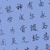 懒猫书法课头像