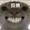 可哀的小鼠头像