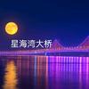 星海湾头像