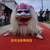 舞狮人阿芳（邵阳武冈法新小白狮）头像