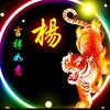 开着拖拉机迎接冬天到来的人头像