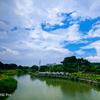 君心悦头像