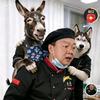 驴哈记头像
