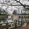 一墨寒梅探索头像