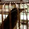 A级玩家头像