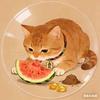 猫爷爱吃瓜头像