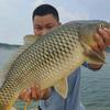 毛大飞野钓-CARP/TNT头像