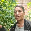 大棚种植干货/田间农业技分享头像