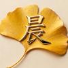 山林君头像