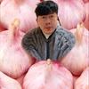 蒜球头像