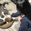 Tsuki⁷⁷头像
