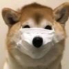 三妹分享头像