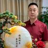 喜气杨洋头像