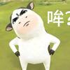 老   供头像
