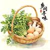乡村野食赵哥头像