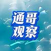 通哥观察头像