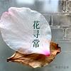 麦芽2943头像
