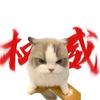 meme教主头像