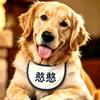 憨憨金毛崽头像