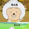 爱星影头像