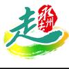 知性的提拉米苏头像