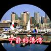 宁静的港湾头像