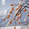 雪哥户外健身头像
