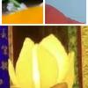 恩生头像