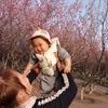 麻辣婆婆头像