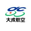 大成航空服务集团头像