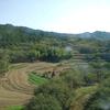 井沿观天头像