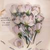 奶茶.李大胆回放头像