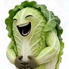 白菜对我笑头像