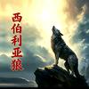 西伯利亚孤狼头像