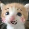 小小猫meme剧场头像