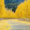 时光飞逝头像
