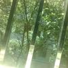 学校日常头像