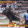 三江斗牛热线头像