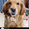 大徐爱剪辑头像