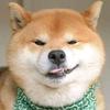 吴某人_-头像