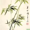 天下一支歌头像
