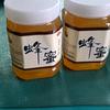 蜂农头像