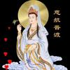 何其自性？头像