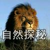 自然探秘头像