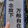 53123头像