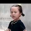 小灰灰头像