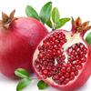 石榴头像