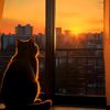 快乐的猫头像