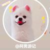 阿男游记头像