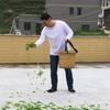 文渣听木头像